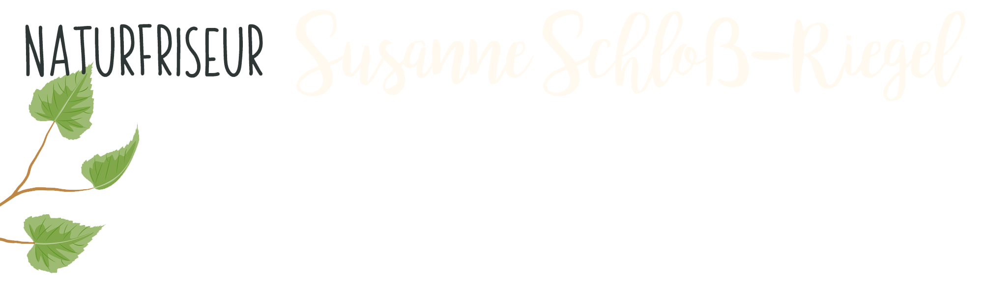 Schriftzug Susanne Schloss-Riegel